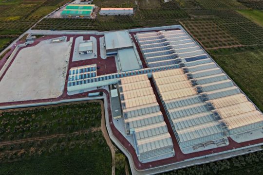 Tikun Olam Europe